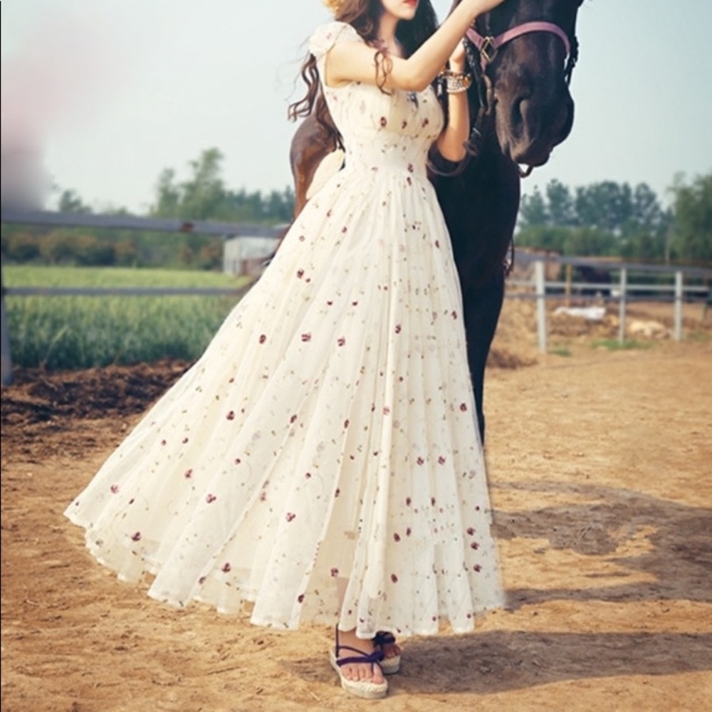 Embroidered Rose Chiffon Maxi Dress